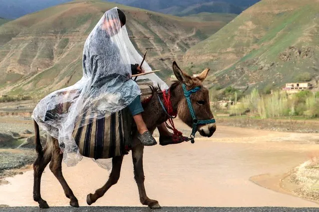 An Afghan boy covers himself with a plastic sheet as he rides on a donkey after rains in Argo district of Badakhshan province on March 20, 2023. (Photo by Omer Abrar/AFP Photo) 