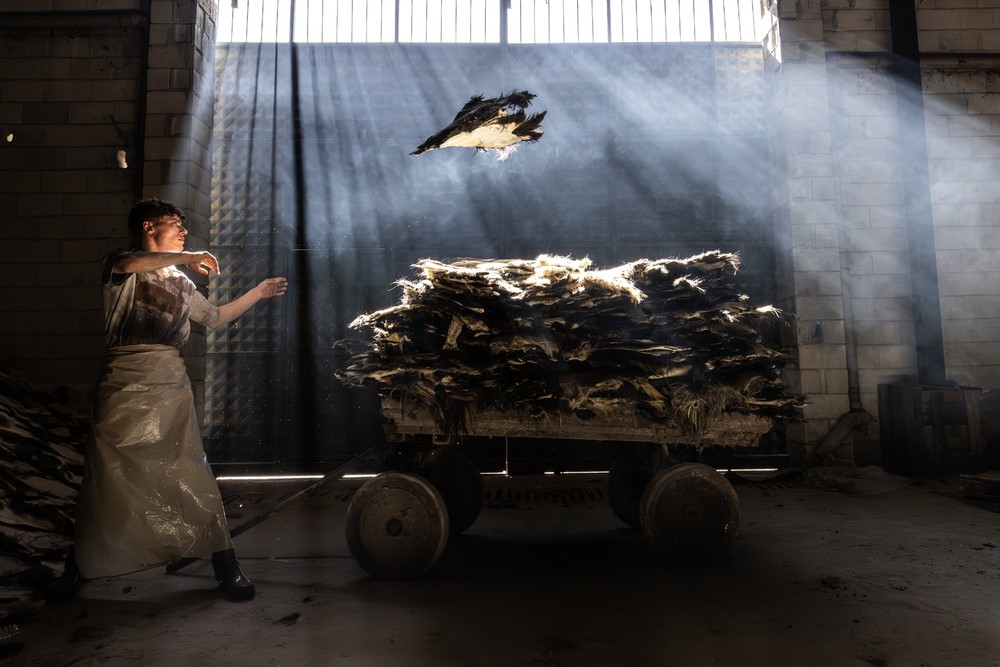 Some Photos: In Motion