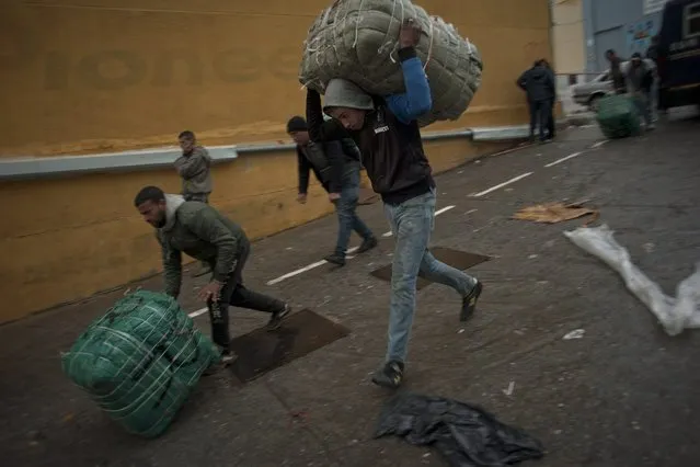 Men porters carry bundles on their backs for transport across the El Tarajal boarder separating Morocco and Spain's North African enclave of Ceuta, in Ceuta on December 4, 2014. (Photo by Jorge Guerrero/AFP Photo)