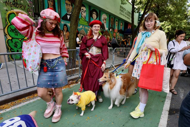 People and dogs take part in the Annual Tompkins Square Halloween Dog Parade in New York City, U.S., October 19, 2025. (Photo by Kevin Coombs/Reuters)