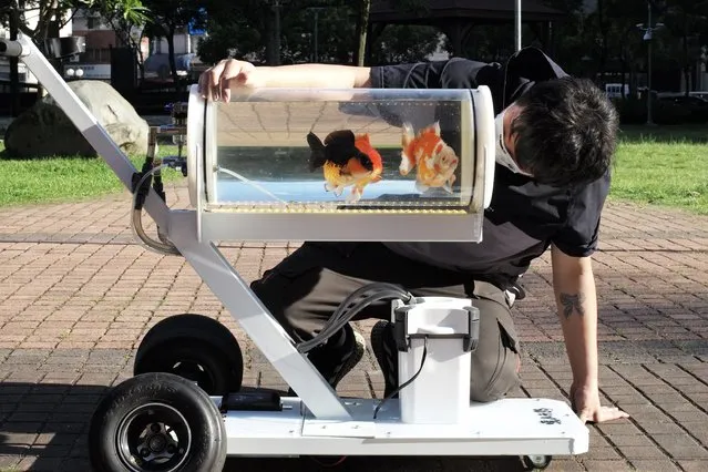 Jerry Huang, maker and fish enthusiast, poses with his fish tank trolley for photographs at a park in Taichung, central Taiwan, on May 19, 2022. (Photo by Sam Yeh/AFP Photo)
