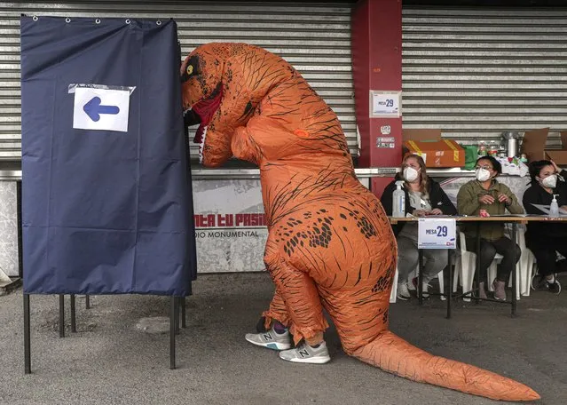A person in a dinosaur suit votes during the second day of the Constitutional Convention election to select assembly members that will draft a new constitution, in Santiago, Chile, Sunday, May 16, 2021. (Photo by Esteban Felix/AP Photo)