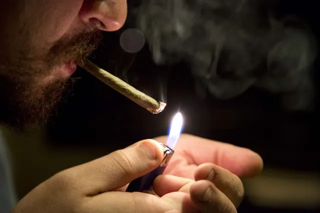 In this October 29, 2013 photo, Daniel smokes marijuana inside his apartment where he uses a hydroponics system to grow his weed in Mexico City. “I'm not a narco, dude. I just like to smoke”, said Daniel, who spoke on condition that his last name not be used because, he said, his home-grow operation is "super-illegal" despite being for personal use only. (Photo by Eduardo Verdugo/AP Photo)