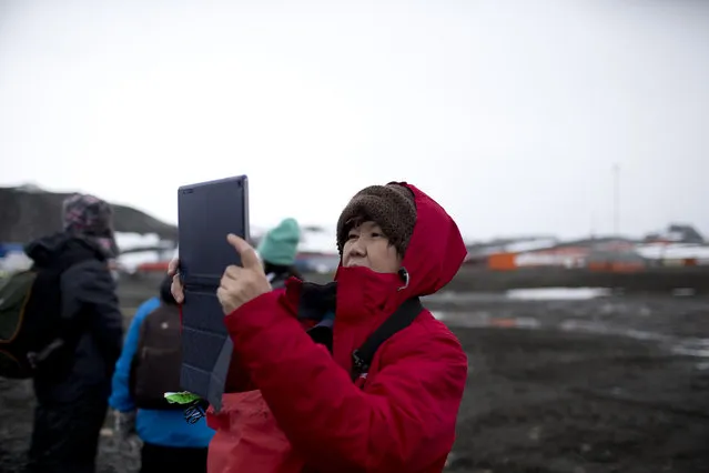 In this February 2, 2015 photo, a tourist uses a tablet to make a picture after disembarking from the Ocean Nova cruise ship, on King George Island, Antarctica. Most visitors arrive on the Antarctic Peninsula, accessible from southern Argentina and Chile by plane or ship. The next most popular destination is the Ross Sea on the opposite side of the continent, which visitors reach after sailing 10 days from New Zealand or Australia. (Photo by Natacha Pisarenko/AP Photo)