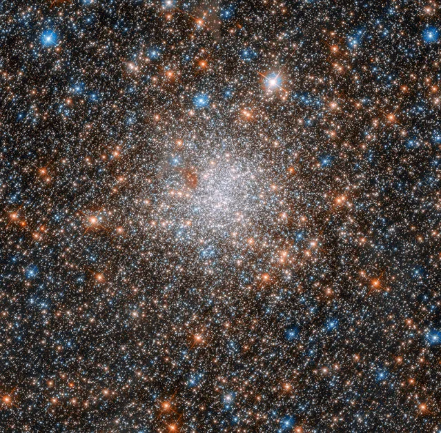 A globular cluster of stars known as NGC 1898 is seen in this image taken by the Hubble Space Telescope using the Advanced Camera for Surveys (ACS) to show near-infrared to ultraviolet wavelengths, and the Wide Field Camera 3 (WFC3) to show near-infrared to near-ultraviolet wavelengths, obtained November 16, 2018. (Photo by NASA/ESA/Hubble Space Telescope/Handout via Reuters)