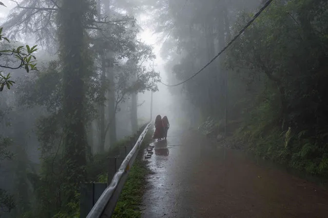 Exile Tibetan Buddhist nuns walk in a thick fog on a rainy day in Dharamshala, India, Wednesday, August 23, 2023. (Photo by Ashwini Bhatia/AP Photo)
