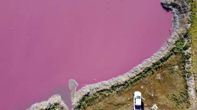 Aerial view of Corfo lagoon that has turned a striking shade of pink as a result of what local environmentalists are attributing to increased pollution from a nearby industrial park, in Trelew, Chubut province, Argentina, Thursday July 29, 2021. (Photo by Daniel Feldman/AP Photo)