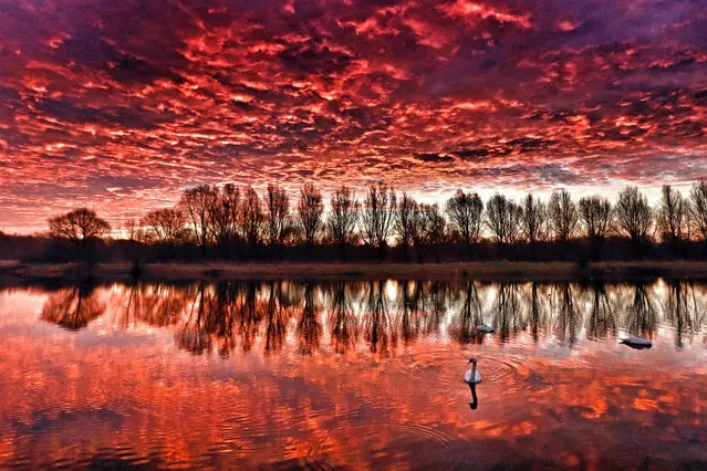 The sky looked on fire this morning, as it made the clouds glow red, just before sunrise at Peterborough Rowing Lake, in Nene Park, UK on January 18, 2017. (Photo by Paul Marriott/Rex Features/Shutterstock)