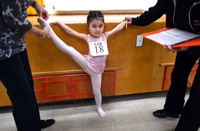 Young ballet dancer Himika Tamamoto,7, stretches her leg during auditions, as boys and girls ages 6 to 7 year old try out for The School of American Ballet Winter Term,  at the P.S. 124 Yung Wing school in New York's Chinatown on April 16, 2015. (Photo by Timothy A. Clary/AFP Photo)