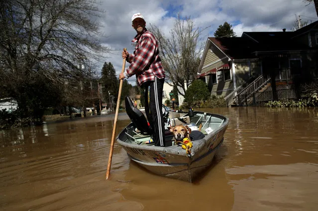 A resident and his dog navigate through a flooded neighborhood on February 28, 2019 in Guerneville, California. The Russian River has crested over flood stage and is now receding after floodwaters inundate the town of Guerneville. The town is currently under mandatory evacuation and roads leading into the town have been flooded over. (Photo by Justin Sullivan/Getty Images)