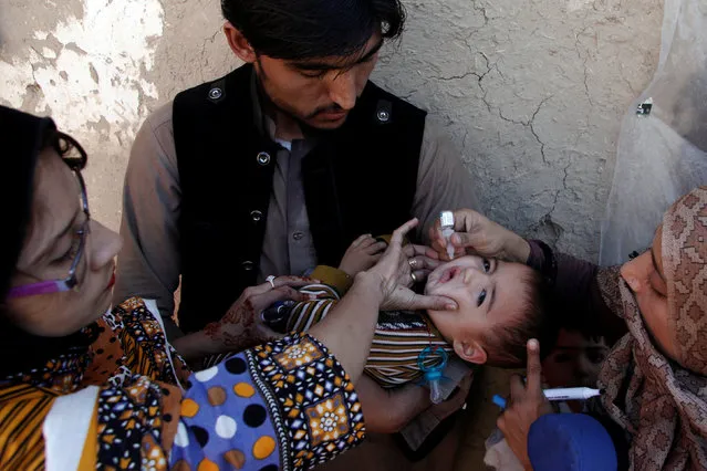 A boy receives polio vaccine drops by anti-polio vaccination workers along a street in Quetta, Pakistan January 2, 2017. (Photo by Naseer Ahmed/Reuters)