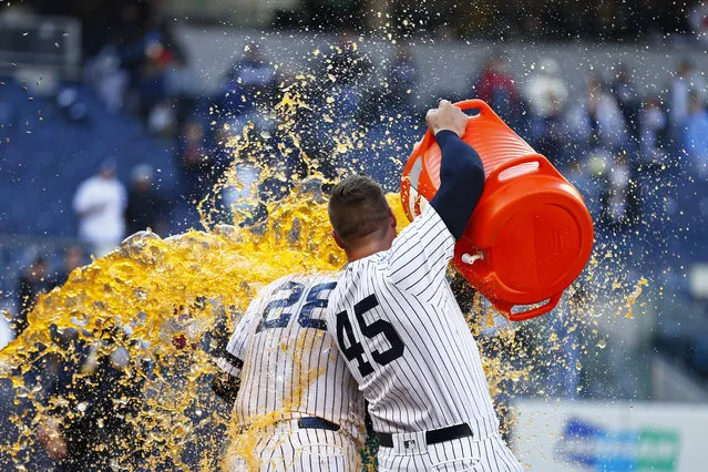 New York Yankees' Luke Voit (45) pours Gatorade onto Yankees' Austin Romine (28) after Romine hit a walk off single during the tenth inning of a baseball game against the Kansas City Royals on Sunday, April 21, 2019, in New York. (Photo by Adam Hunger/AP Photo)