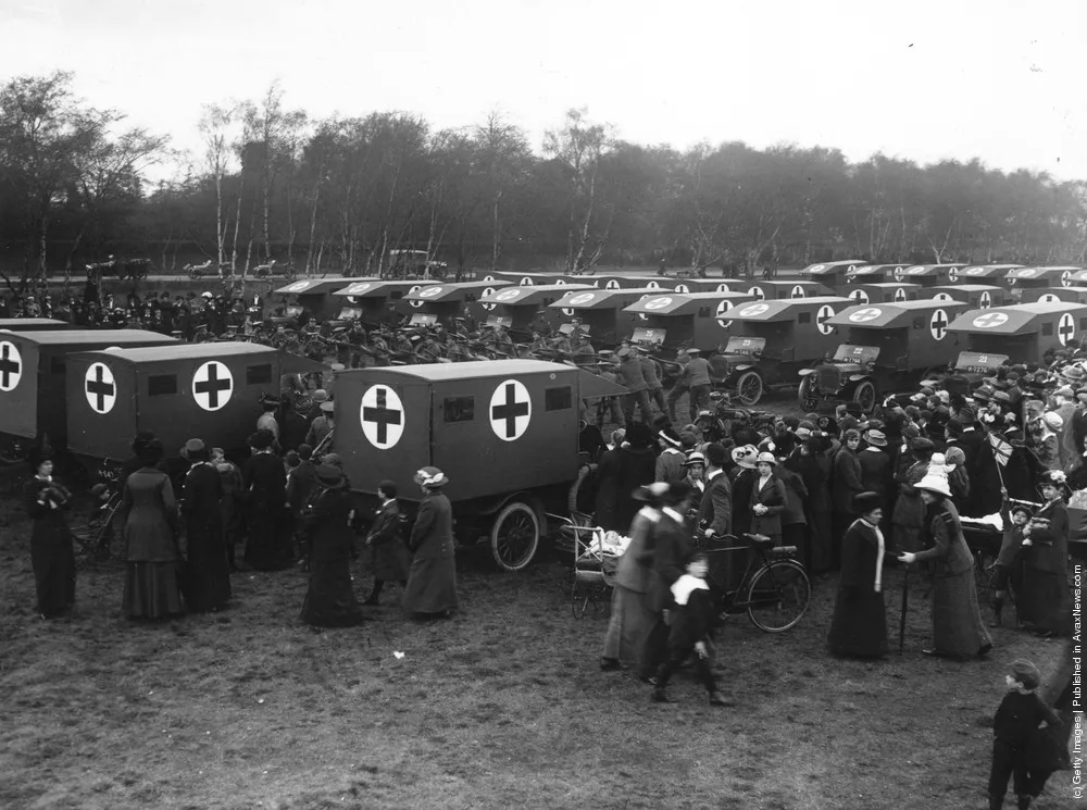 World War I: 1914 Year. Part I