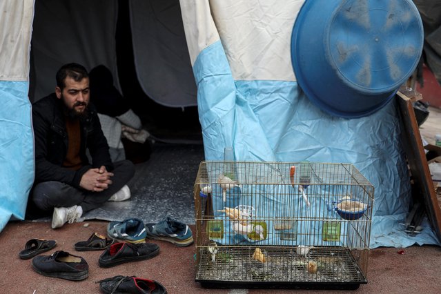 Muhammad, 26, from Kahramanmaras, sits at his tent next to his birds, at a stadium, which serves as a camp for survivors, in the aftermath of a deadly earthquake in Kahramanmaras, Turkey on February 15, 2023. (Photo by Nir Elias/Reuters)