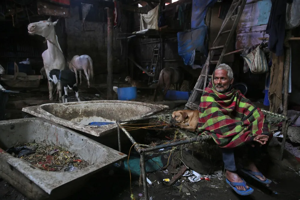 Coachman's Daily Life in India