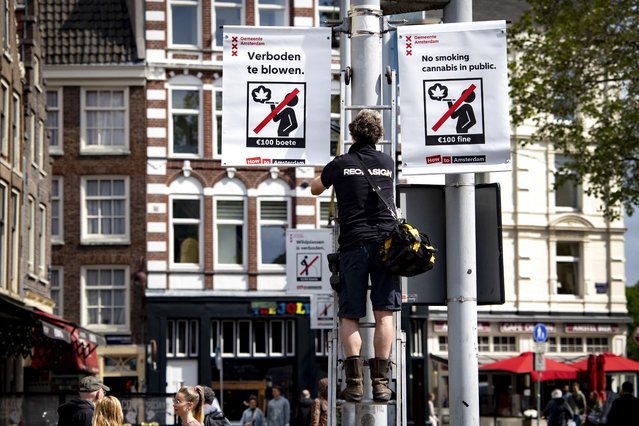 A municipal worker hangs a prohibition sign in the Nieuwmarkt publicising the new legislation forbidding the smoking of cannabis in public in the old city centre of Amsterdam on May 23, 2023. (Photo by Ramon van Flymen/ANP via AFP Photo)