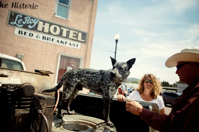 Dog Silver, Deb Kenobbie, of Iowa, and Roger Kenobbie, of Kimball, South Dakota, watch bike traffic along Main Street in downtown Custer, South Dakota as bikers participate in the annual Sturgis Motorcycle Rally on August 3, 2015. (Photo by Kristina Barker/Reuters)