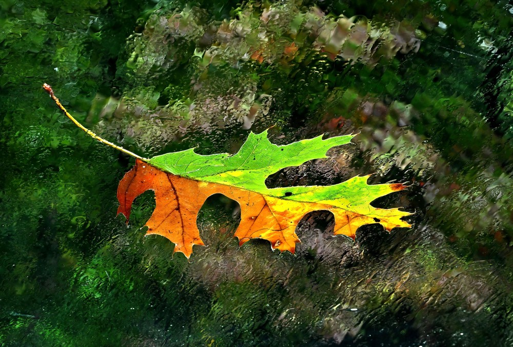 USA last Week, Part 2/2