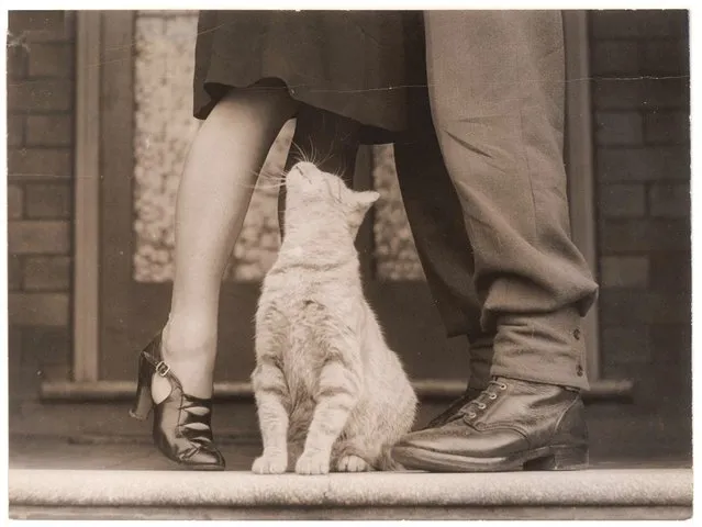 Soldier's goodbye & Bobbie the cat, Sydney, ca. 1939 - ca. 1945. (Photo by Sam Hood)
