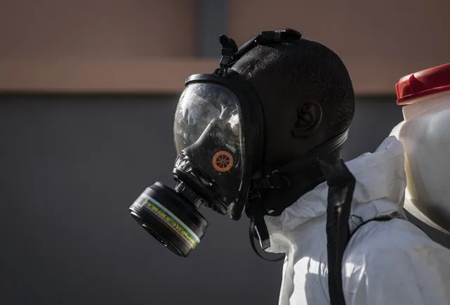 In this Wednesday, April 1, 2020, photo, a municipal worker sprays disinfectant in a mosque to help curb the spread of the new coronavirus in Dakar, Senegal. (Photo by Sylvain Cherkaoui/AP Photo)