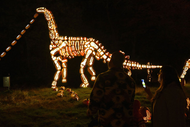 Carved pumpkins are displayed during “The Great Jack O'Lantern Blaze” in Croton-on-Hudson, New York ahead of Halloween on October 25, 2023. (Photo by Angela Weiss/AFP Photo)
