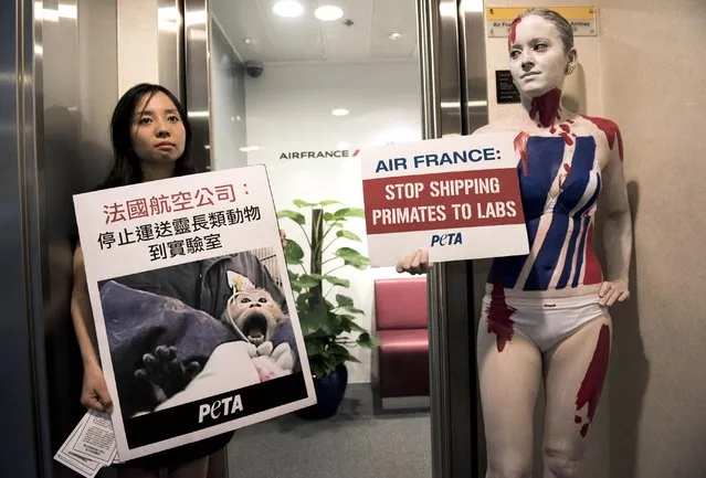Activists for PETA (People for the Ethical Treatment of Animals) take part in a protest condemning Air France for allegedly shipping primates to laboratories around the world, outside an Air France office in Hong Kong on August 28, 2014. PETA activists protested against what they say is the airline's practice of carrying primates as cargo and said all other airlines had banned transporting monkeys destined for experiments. (Photo by Alex Ogle/AFP Photo)