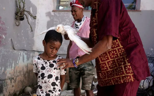 Jose Zamora, 8, has a dove rubbed over his body during the Afro-Cuban religion Santeria ceremony amid concerns about the spread of the coronavirus disease (COVID-19) outbreak, in Havana, Cuba, March 28, 2020. (Photo by Alexandre Meneghini/Reuters)