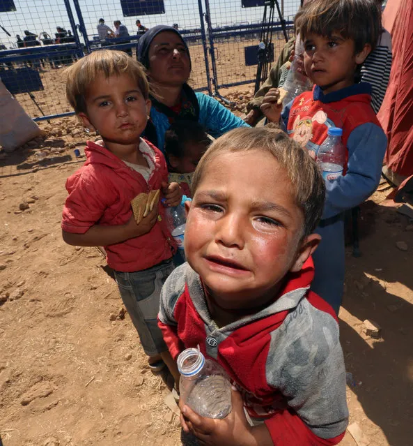 Young Syrian refugees enter Turkey at Yumurtalik crossing gate near Suruc, Turkey, Tuesday, September 23, 2014. More than 200,000 people  fleeing the Islamic militants' advance on Kobani, Syria, arrived in Turkey during last four days to find safety. (Photo by Burhan Ozbilici/AP Photo)