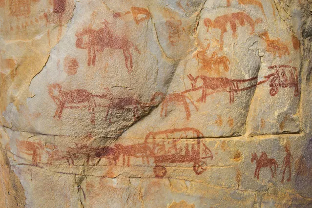 A photograph made available 17 September 2015 shows Khoi rock art depicting European colonists in ox wagons on the walls of a cave on Groenfontein farm in the Koue Bokkeveld around two hundred and fifty kilometers from Cape Town, South Africa 16 September 2015. (Photo by Nic Bothma/EPA)