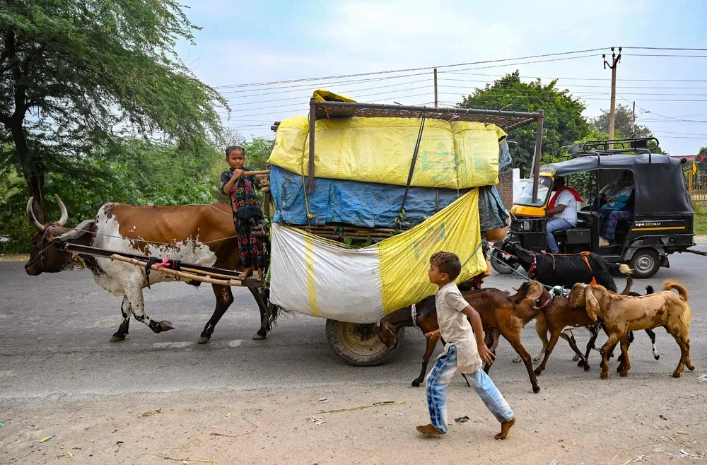 A Look at Life in India, Part 1/2