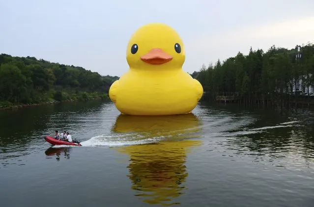 Workers travel on a speed boat past an inflatable Rubber Duck installation by Dutch artist Florentijn Hofman, on a lake at a botanic garden in Changsha, Hunan province, China, September 21, 2015. The 18-metre-high Rubber Duck will be shown to the public in the garden from September 21 to November 22, according to local media. (Photo by Reuters/Stringer)