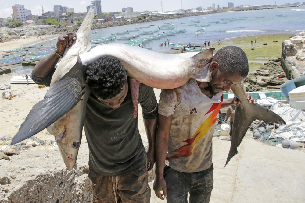 A Look at Life in Africa