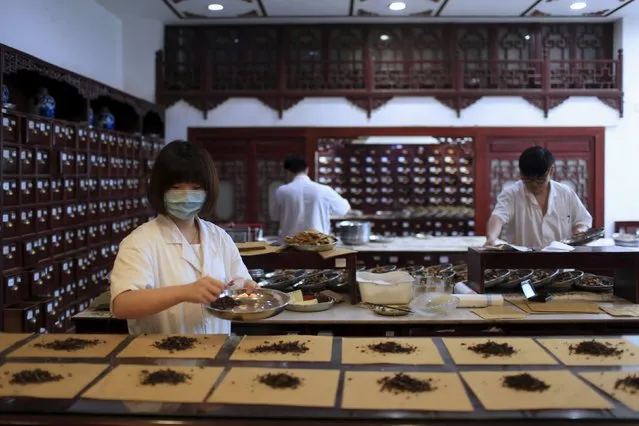 Employees work at a traditional Chinese medicine shop in Shanghai, China, September 16, 2015. China's much-hyped market for vitamins and supplements is facing a steep challenge from traditional remedies from ginseng to deer antler, even as the sector's rise fuels billion-dollar deals and share price surges. The vitamins market is set to expand five percent a year to $20 billion in 2019, half its pace of growth since 2009. (Photo by Aly Song/Reuters)