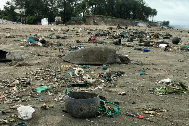 A dead sea turtle is seen on a beach in Cox's Bazar on July 12, 2020. About 160 sea turtles, many of them injured after getting entangled in plastic waste, have been rescued after washing up on one of the world's longest beaches in Bangladesh, an official and conservationists said on July 15. (Photo by Suzauddin Rubel/AFP Photo)