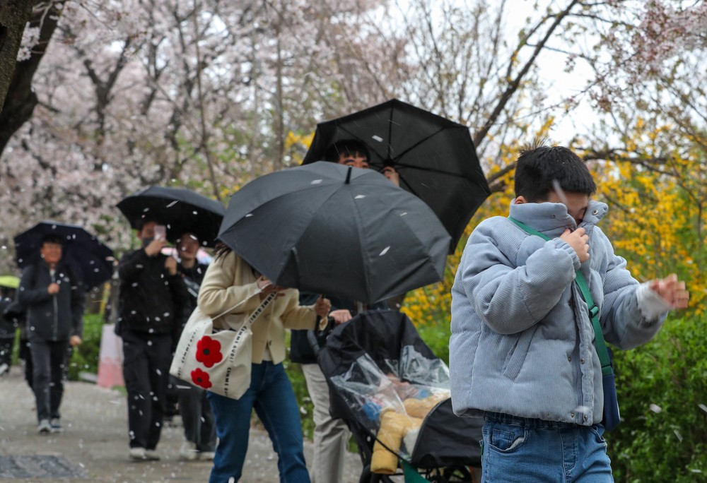 A Look at Life in South Korea