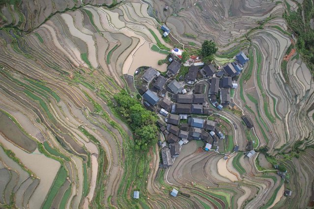 This photo taken on May 10, 2025 shows an aerial view of village houses surrounded by terraced fields in Congjiang county, Qiandongnan Miao and Dong Autonomous Prefecture, in China's southwestern Guizhou province. (Photo by AFP Photo/China Stringer Network)