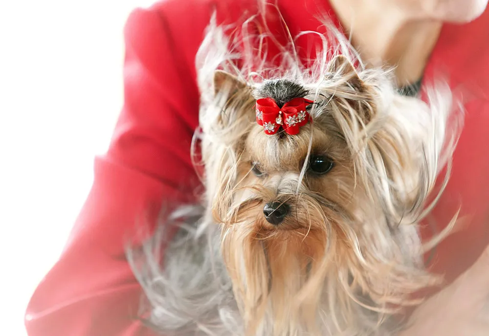 The Day in Photos – October 12, 2015