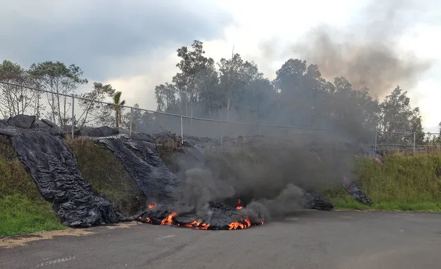 In this photo taken Tuesday, November 11, 2014, and provided by the U.S. Geological Survey, lava flow from the Kilauea Volcano that began on June 27 pushes its way through a fence of a now-closed refuse transfer station and moves down the slope onto station grounds in Pahoa, Hawaii. The flames are caused by burning asphalt. (Photo by AP Photo/U.S. Geological Survey)