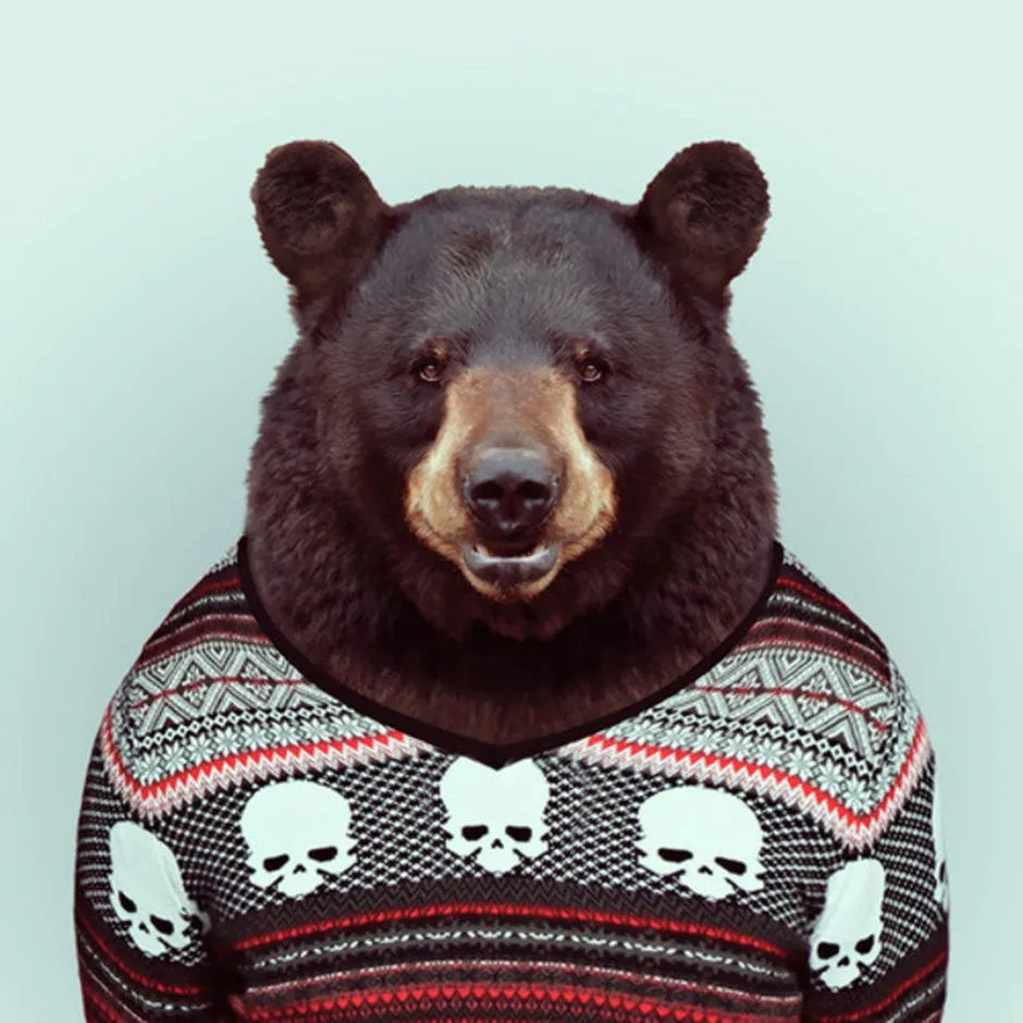 Zoo Portraits By Yago Partal. Part 1