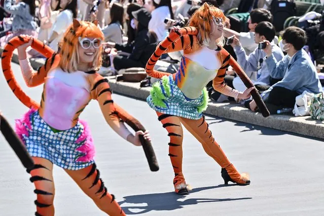 Performers dance in front of visitors during new daytime parade to mark the 40th anniversary of Tokyo Disneyland in Urayasu, in suburban Tokyo on April 10, 2023. (Photo by Richard A. Brooks/AFP Photo)