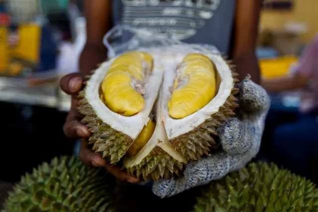 In this November 25, 2017, file photo, a cut Musang King durian is shown by a vendor during the International Durian Cultural Tourism Festival in Bentong, Malaysia. The pungent smell of the rotten durian fruit at the Royal Melbourne Institute of Technology university campus library in Melbourne, Australia, on Saturday, April 28, 2018, was mistaken for a gas leak, prompting an evacuation of the building. Specialist crews wearing masks searched the library, but all they found was rotting durian in a cupboard. About 600 staff and students cleared the building. (Photo by Sadiq Asyraf/AP Photo)