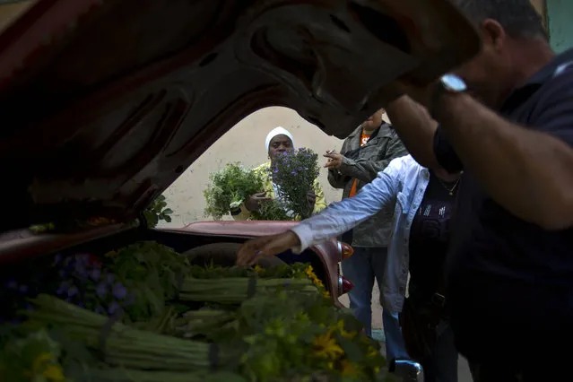 In this Thursday, January 29, 2015 photo, customers gather around self-employed flower vendor Yaima Gonzalez Matos, 33, shopping for bouquets of flowers, in Havana, Cuba, from Gonzalez's makeshift flower stand; a 1957 Buick she rents for the day to transport the flowers from nearby farms into the capital. On a good day, she earns about $28 after expenses, a little more than the average monthly salary in Cuba. (Photo by Ramon Espinosa/AP Photo)