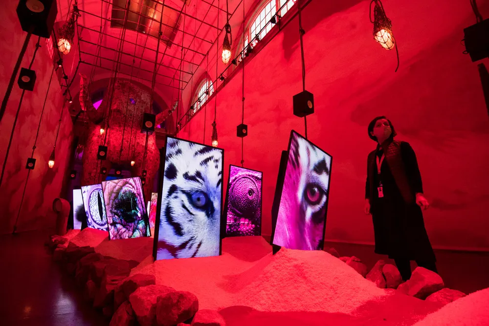 Some Photos: Contemporary Art