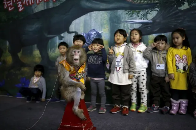 Kindergarten students pose for photographs with a trained monkey wearing a Korean traditional costume after a performance at Monkey School, in conjunction with Chinese Lunar New Year celebrations in Goyang, South Korea, January 22, 2016. (Photo by Kim Hong-Ji/Reuters)