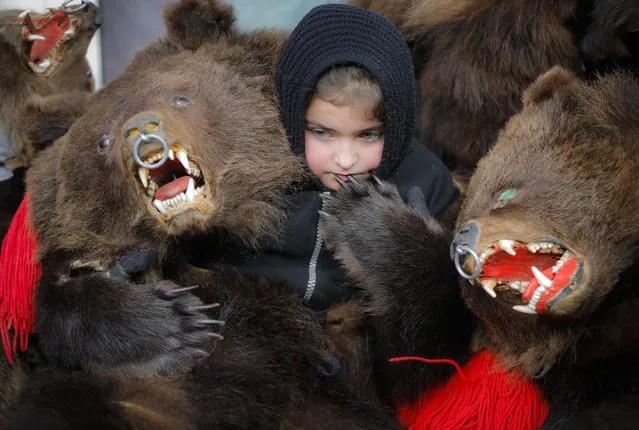 A child wearing a bear fur costume pauses during the annual bear ritual gathering in Comanesti, Romania, Friday, December 30, 2016. (Photo by Vadim Ghirda/AP Photo)