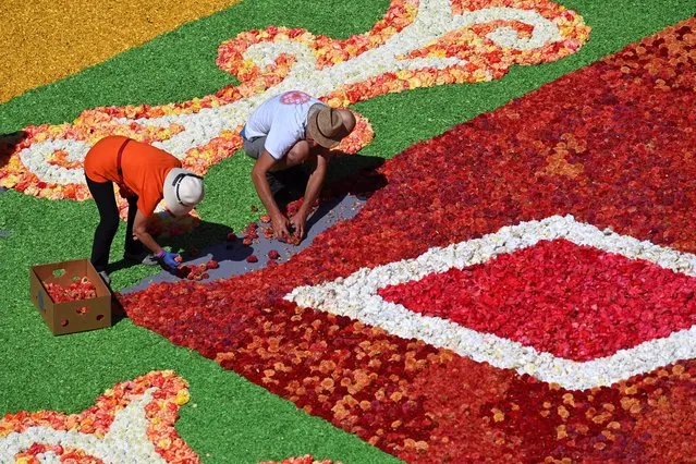 Volunteers work on the creation of the Flower Carpet on the Grand-Place in Brussels on August 12, 2022. The 22nd edition of Brussels' Flower Carpet begonia arrangement since its creation in 1971 runs from August 12 to 15, 2022. (Photo by John Thys/AFP Photo)
