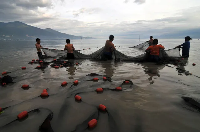 A group of fisherman use a net to catch fish at Palu gulf coast, Indonesia Central Sulawesi province, January 8, 2017. (Photo by Fiqman Sunandar/Reuters/Antara Foto)