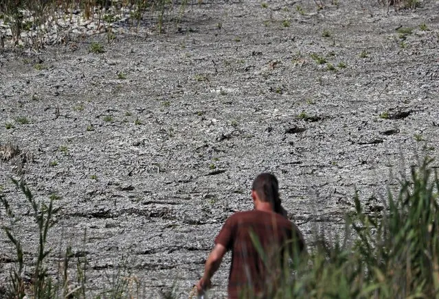 A man walks the dried up part of Lake Velence in Agard, Hungary, Sunday, August 8, 2021. Activists and environmental experts in Hungary say the effects of climate change and insufficient infrastructure are colliding to threaten the country’s third largest natural lake with an economic and ecological crisis. Lake Velence has lost nearly half of its water in the last two years as hot, dry summers have led to increased evaporation and deteriorating water quality. (Photo by Laszlo Balogh/AP Photo)