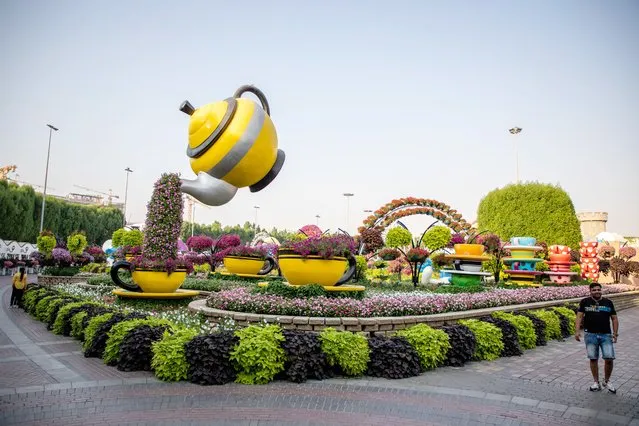 A general view of Dubai Miracle Garden, which is the largest flower garden exist with its millions of flowers, also has the longest flower walls in the world in Dubai, United Arab Emirates on October 22, 2022. The garden is included in the Guinness Book of Records and occupies over 72,000-square-meter of land. (Photo by Mohammed Zarandah/Anadolu Agency via Getty Images)
