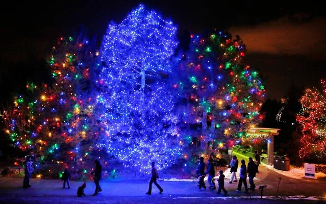 People take in the elaborate holiday light designs at the Blossoms of Light, which trails around the grounds of the Denver Botanic Gardens, Monday Dec. 23, 2013. (AP Photo/Brennan Linsley)